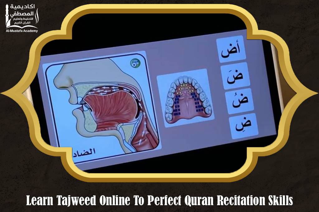 Learn Tajweed Online