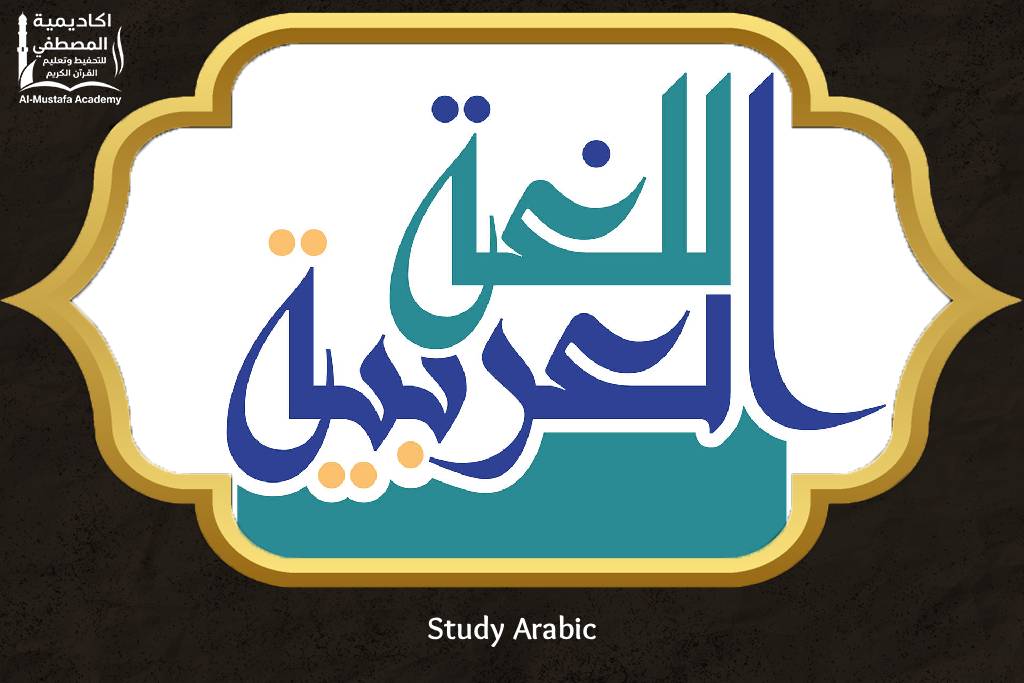 Study Arabic